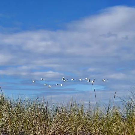 公寓 Kavelweg 13 Whg 4 - Kleiner Kaeptn *