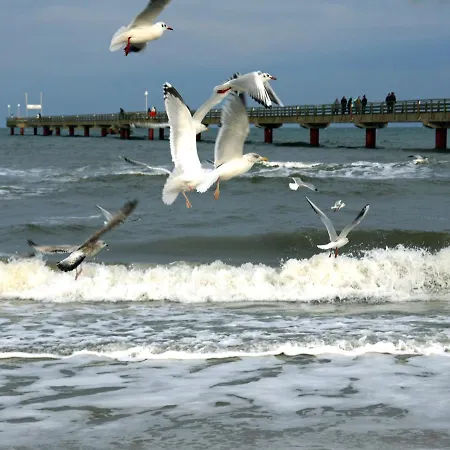 Kavelweg 13 Whg 4 - Kleiner Kaeptn 公寓 *