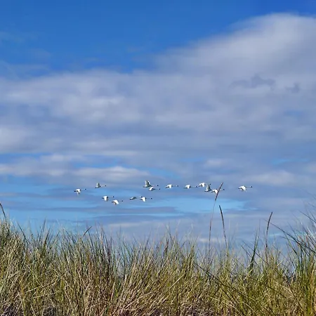 公寓 Kavelweg 13 Whg 4 - Kleiner Kaeptn *