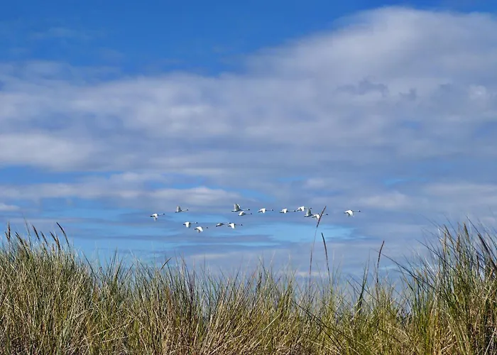 Lejlighed Kavelweg 13 Whg 4 - Kleiner Kaeptn *