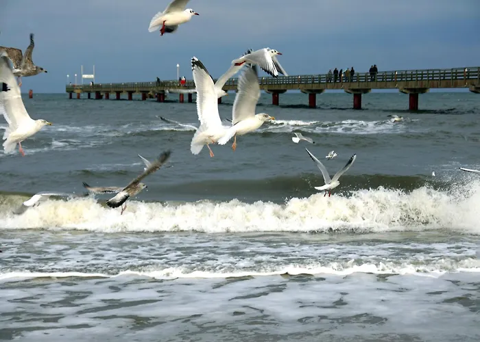 Lejlighed Kavelweg 13 Whg 4 - Kleiner Kaeptn