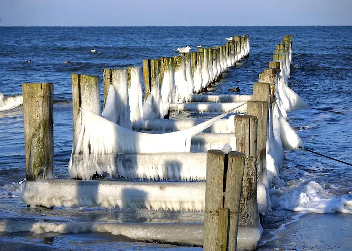 Kavelweg 13 Whg 4 - Kleiner Kaeptn Zingst